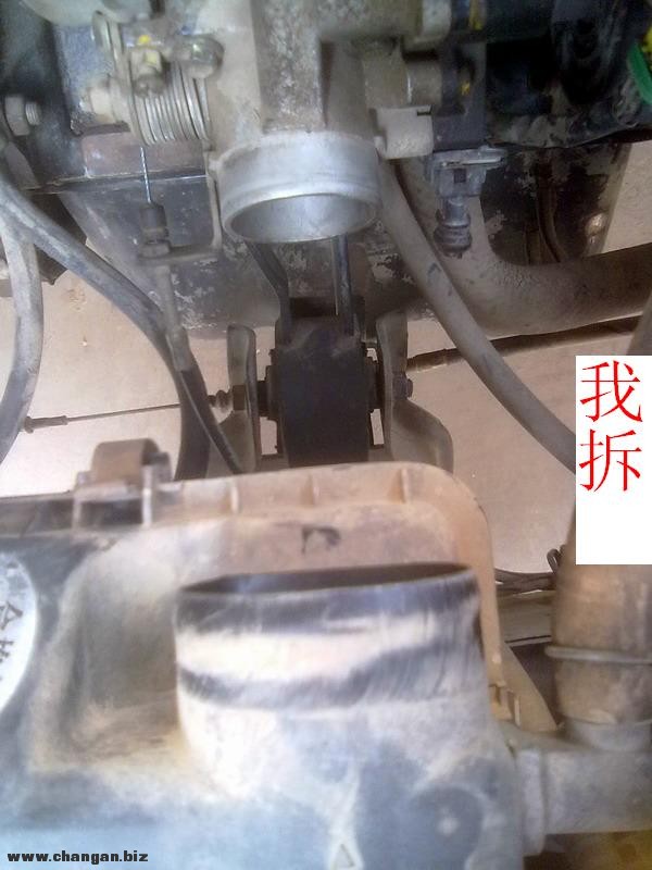 20121025049.jpg