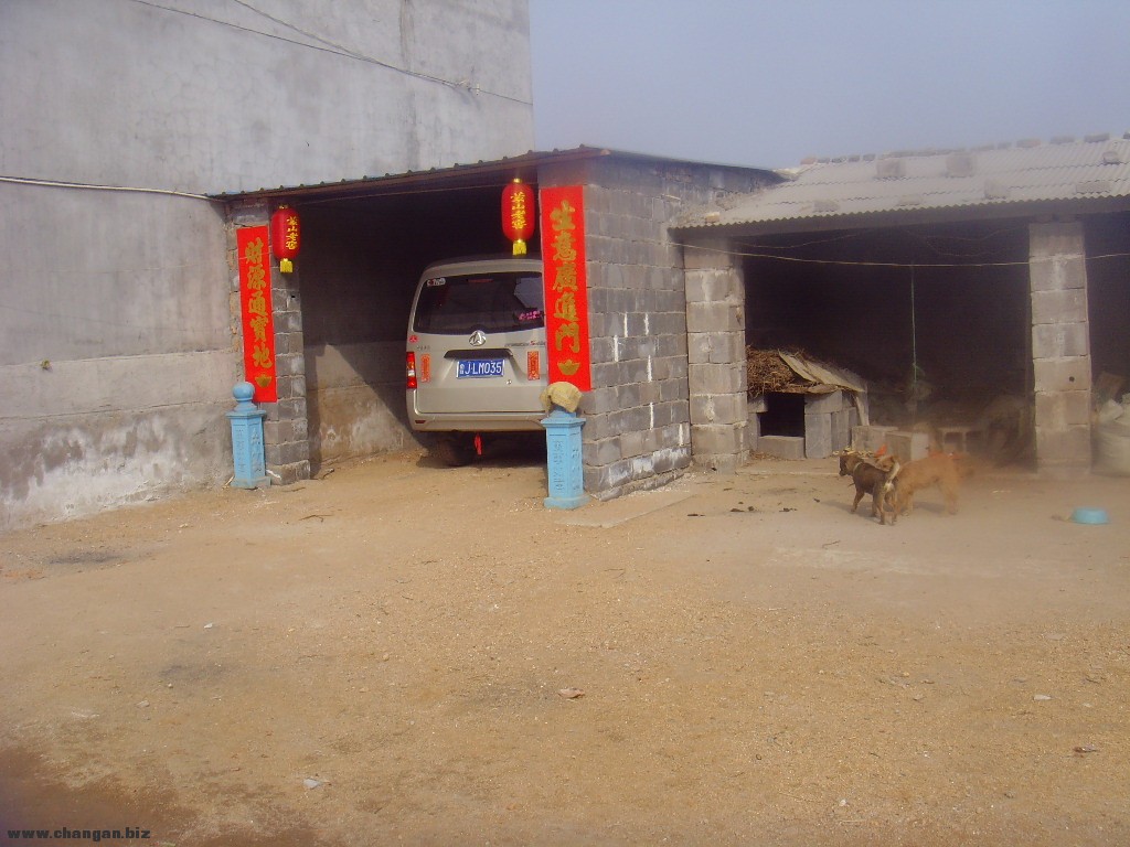 SNV31135.JPG