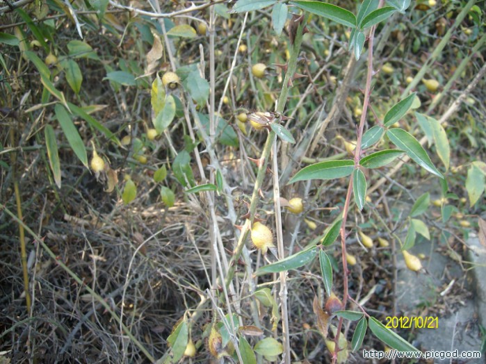 IMG02692.JPG