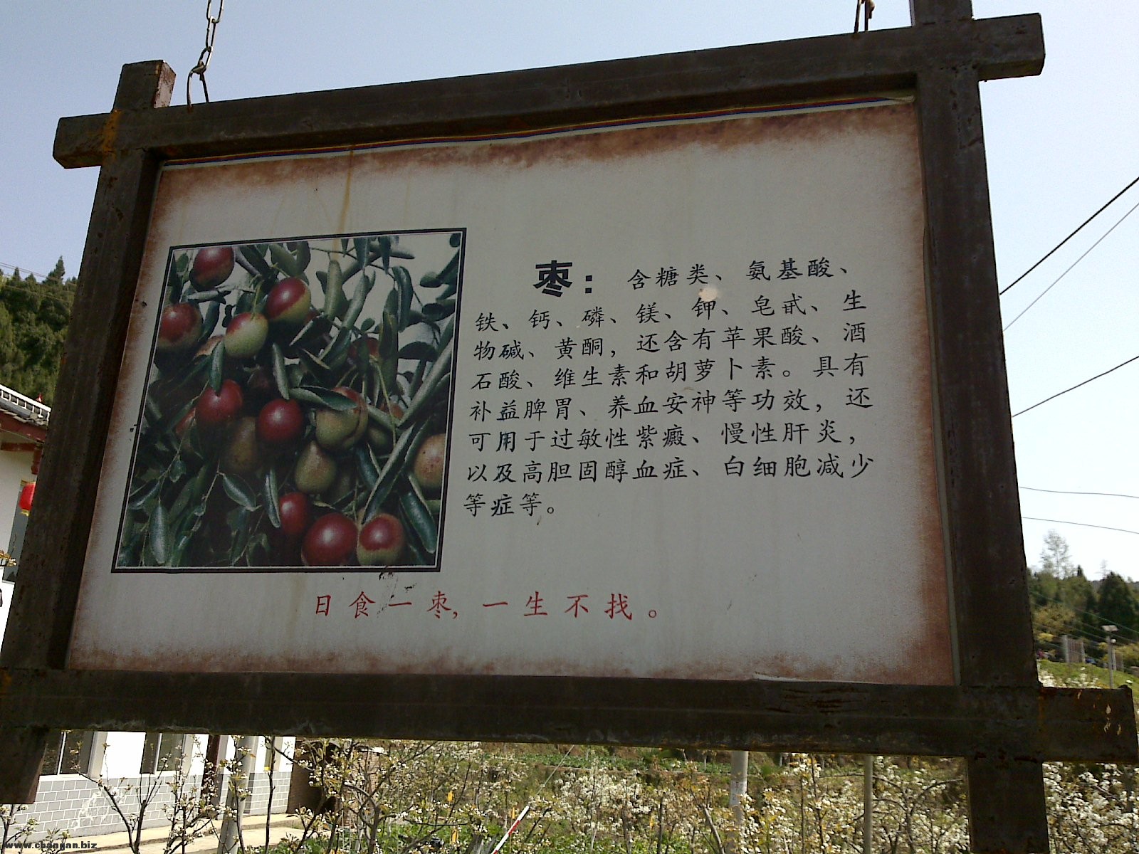 20120331115.jpg