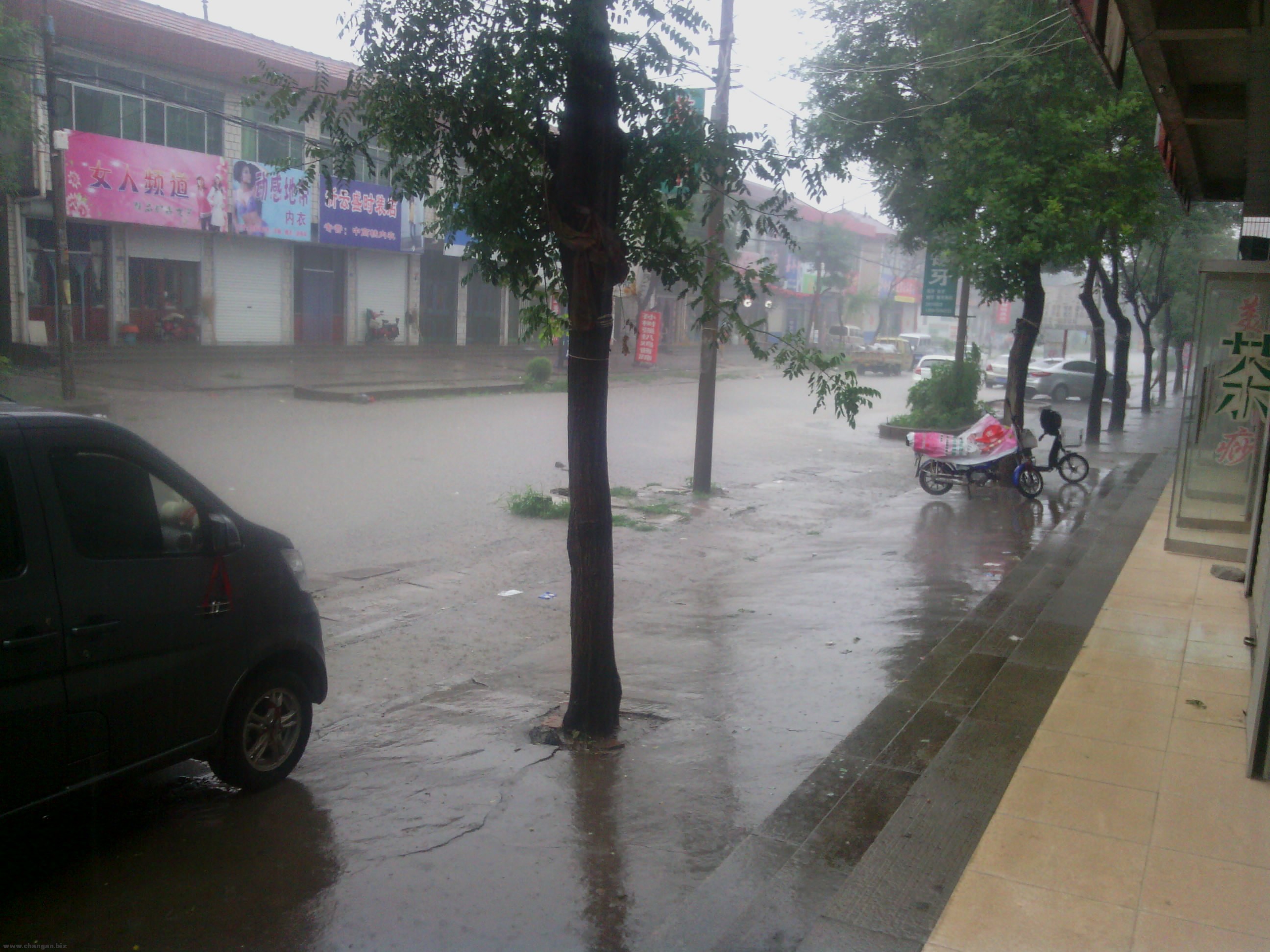 IMG_20130723_091349.jpg
