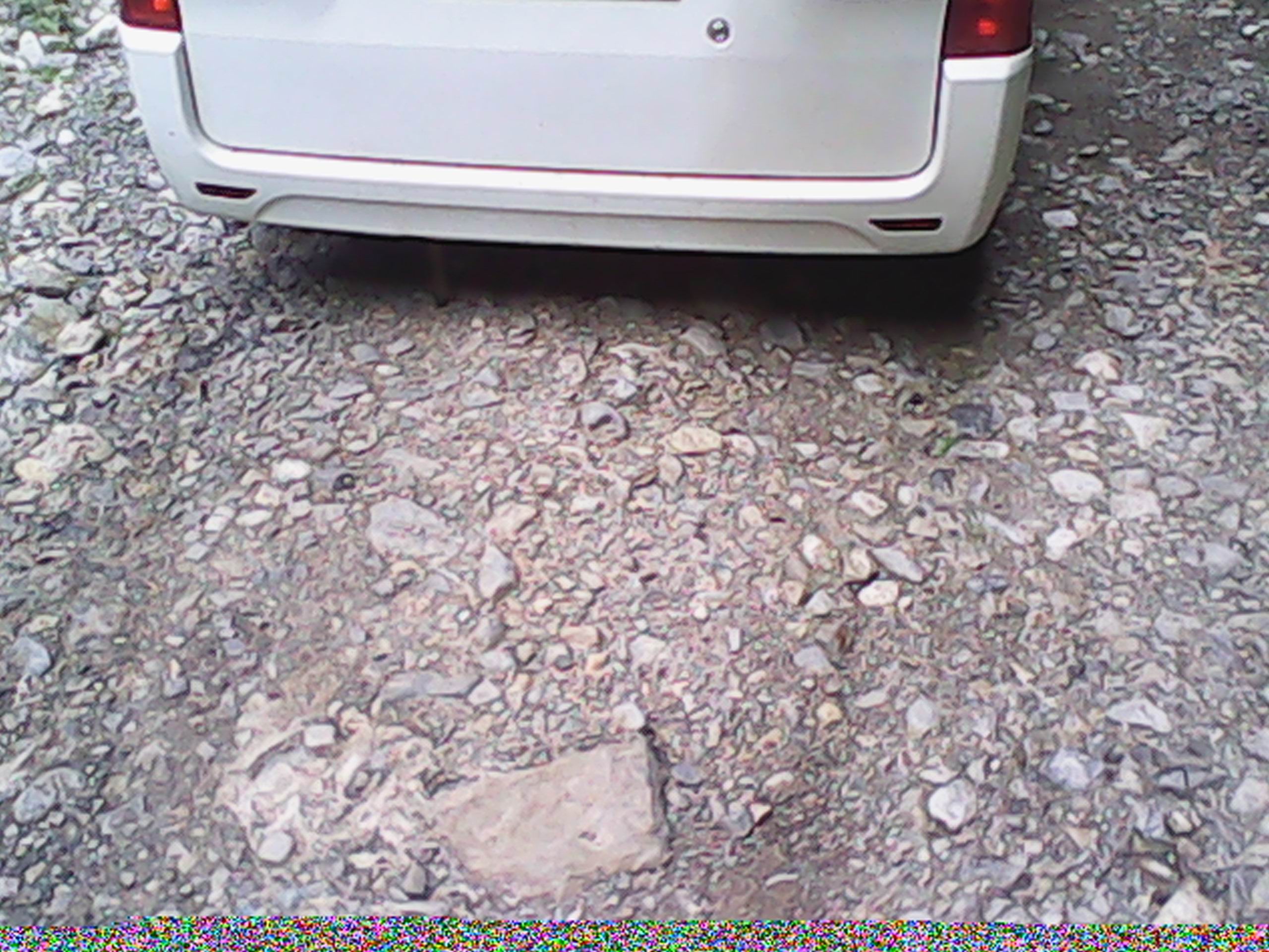 IMG_20130808_092142.jpg