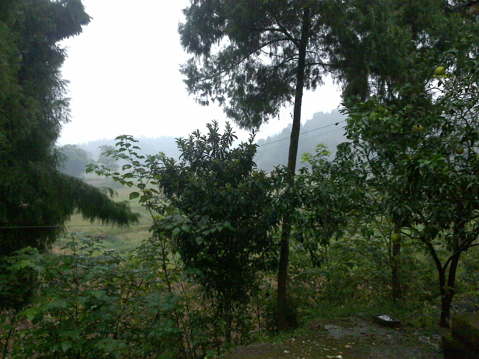 20121007132.jpg