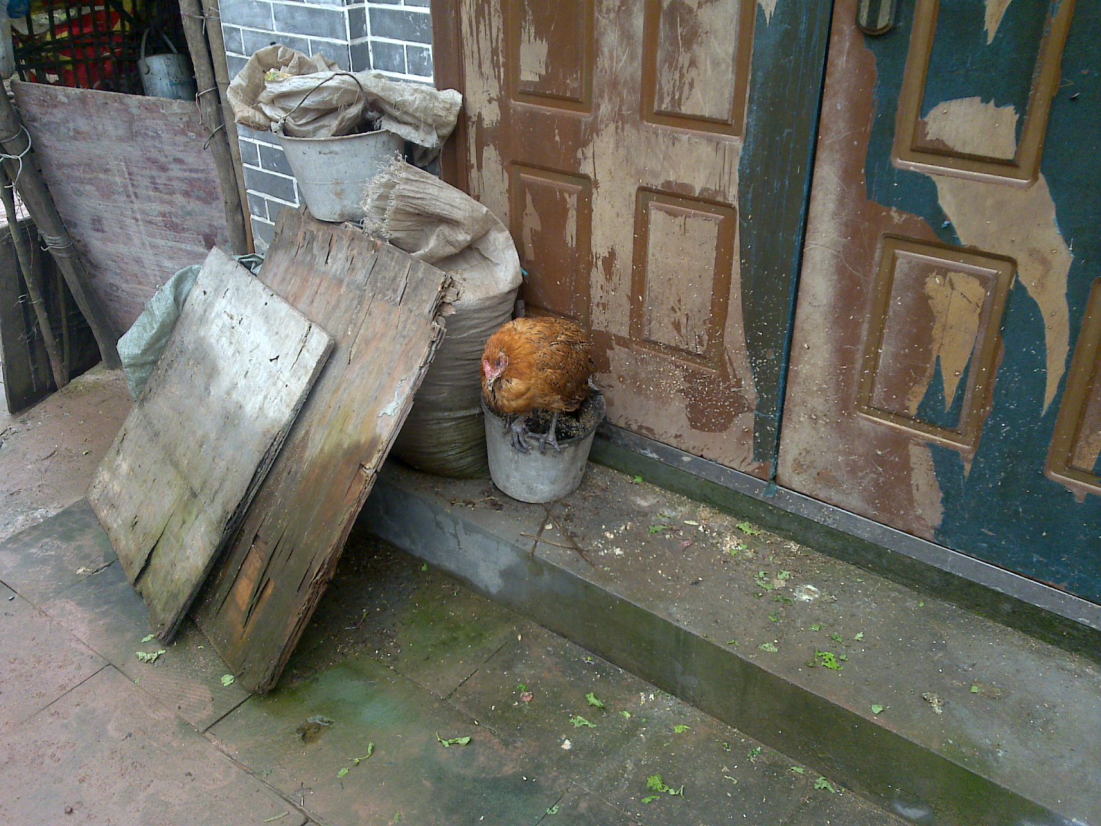 20121007147.jpg