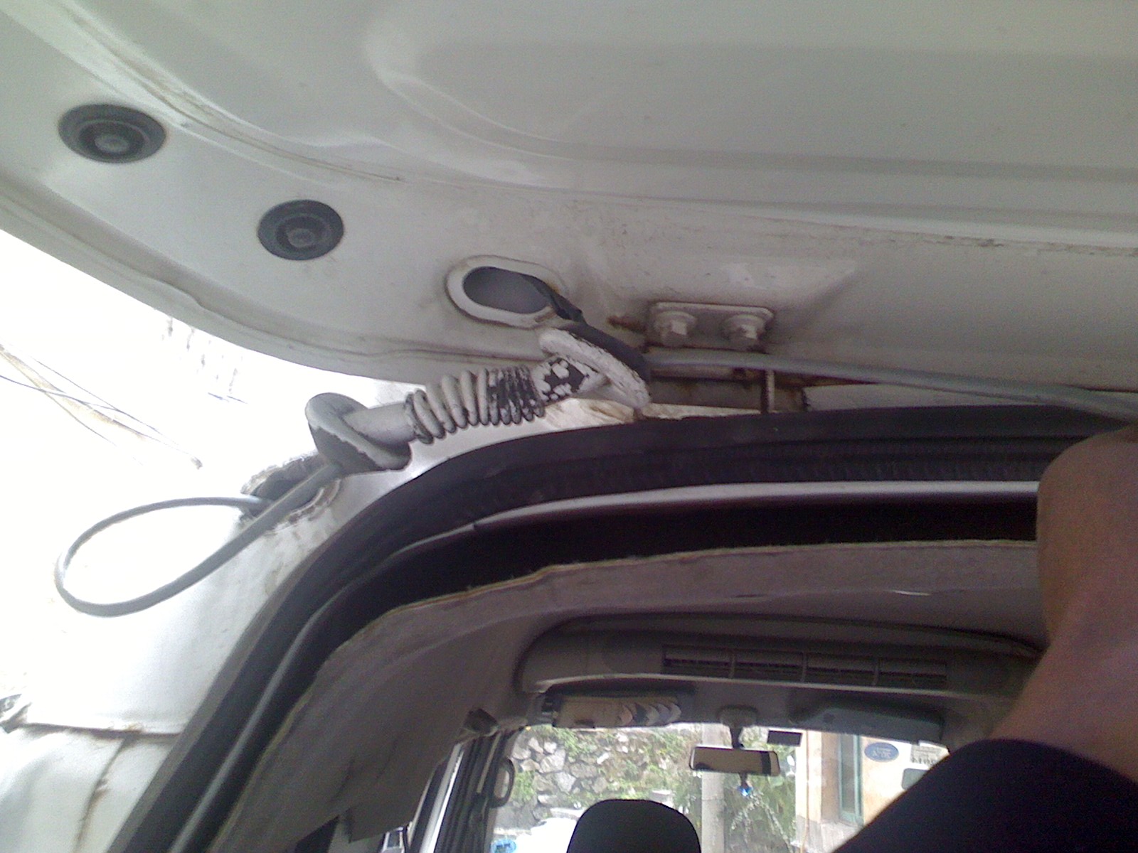 IMG1126134100.jpg