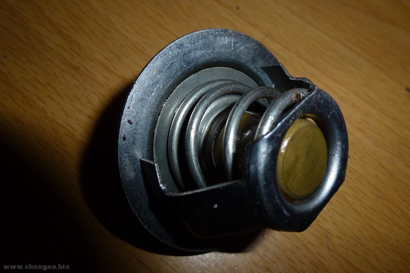 P1030651_.jpg