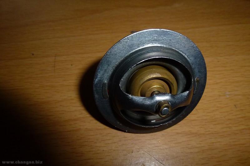 P1030650_.jpg