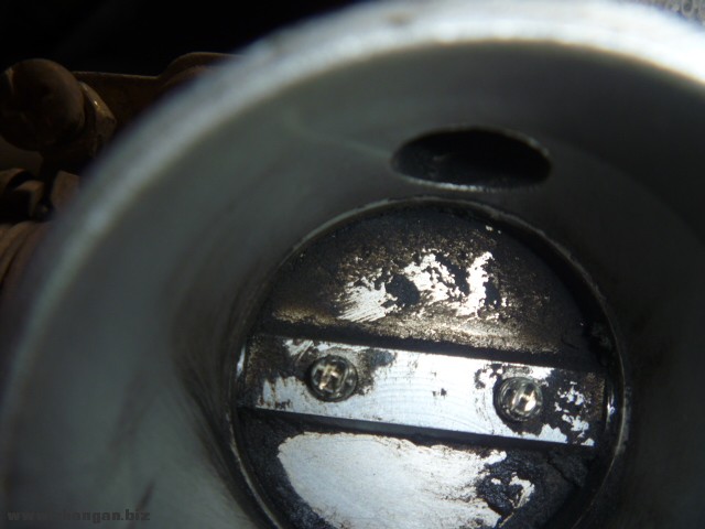 P1020010.JPG