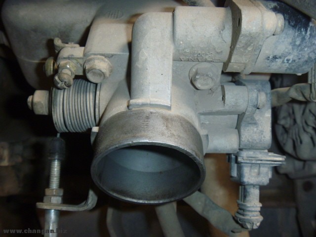 P1020011.JPG