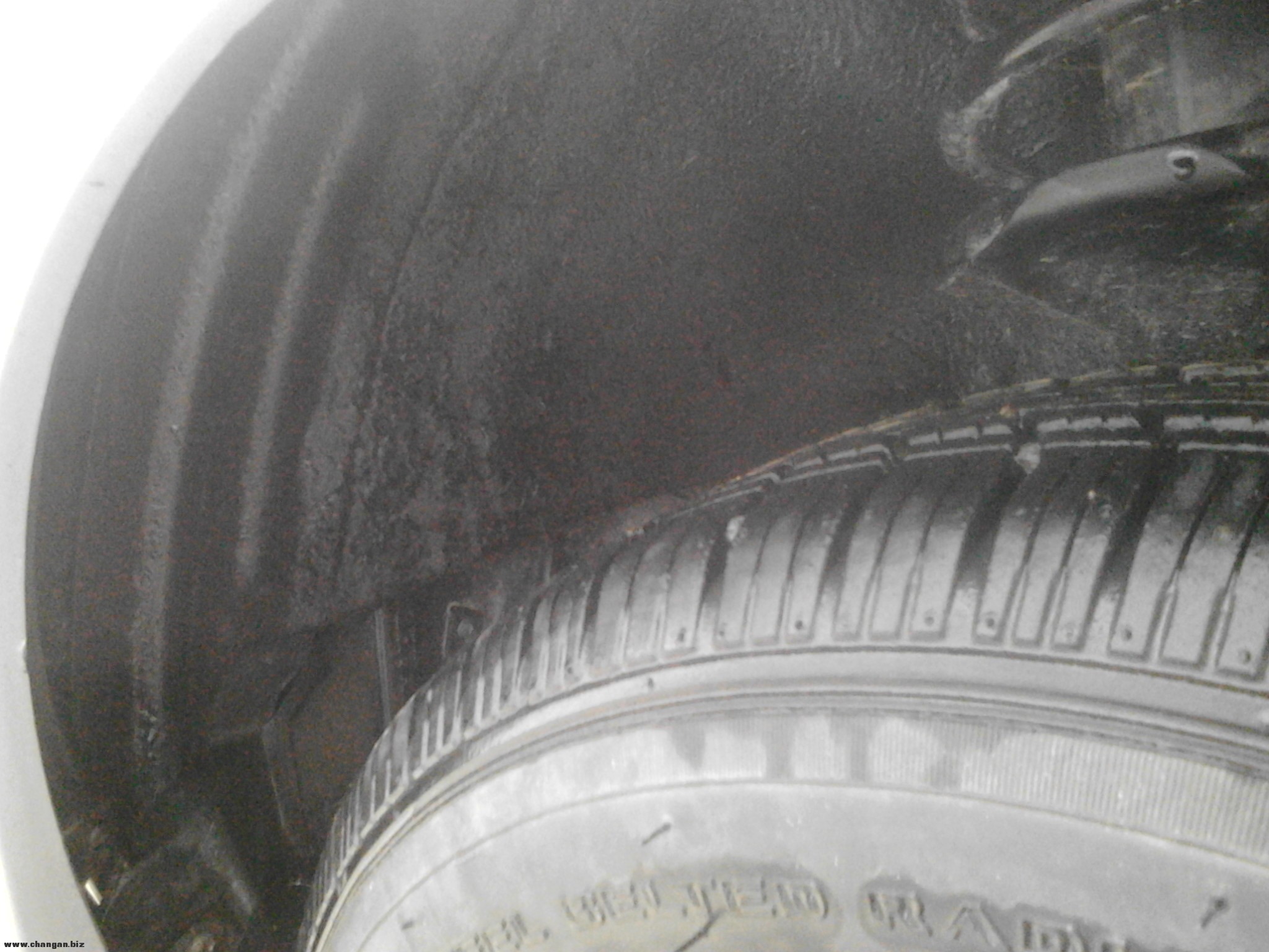 IMG20140623155118.jpg