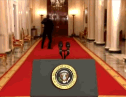 1b796e77-1db3-49d9-9118-42bf98ce2f8d.gif