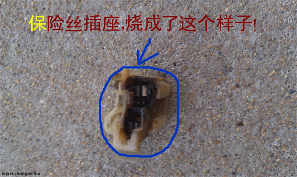 IMAG0578_.jpg