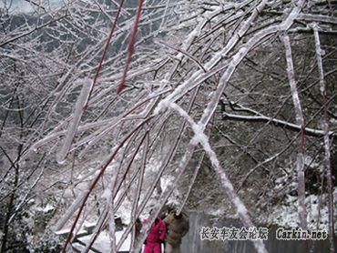 Ƭ 040.jpg