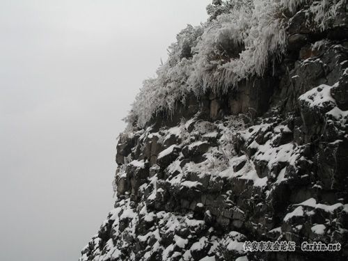 Ƭ 042.jpg