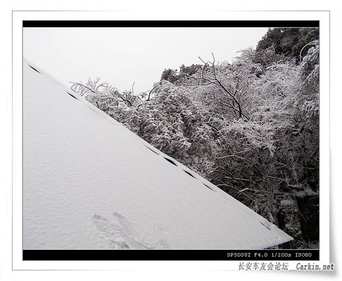 P8283650_nEO_IMG.jpg