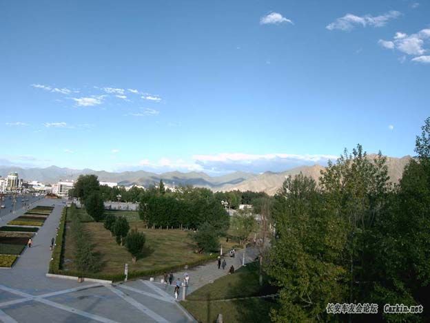 IMAG0006.jpg