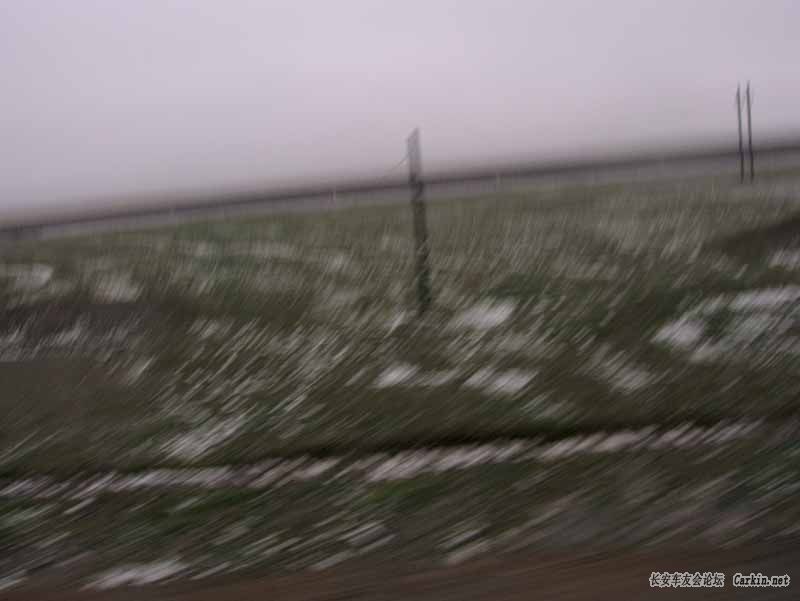 IMAG0008000.jpg