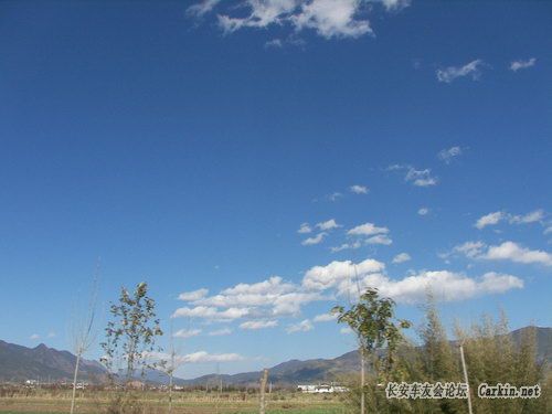 100_1682.JPG