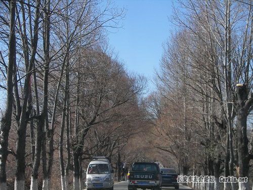 100_1539.JPG
