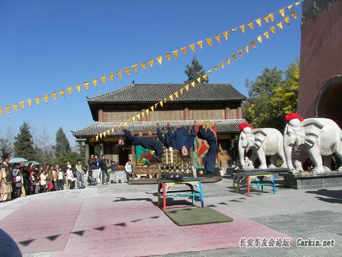 100_1850.JPG