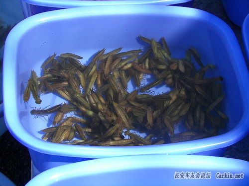 100_1804.JPG