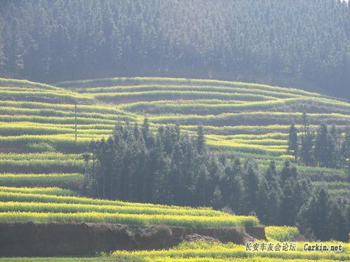 100_2264.JPG