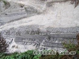 PA214195.jpg