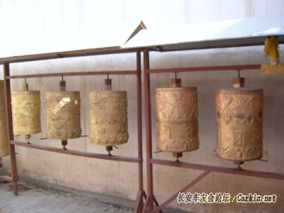 SUC53052_СС.jpg