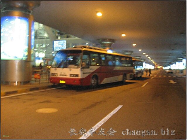 IMG_2890.jpg