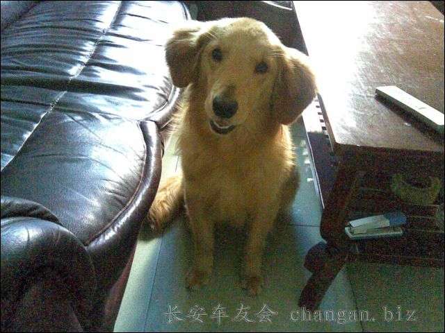 20070422(005)_޸ĴС.jpg
