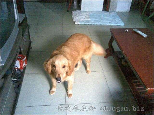 20070422(001)_޸ĴС.jpg