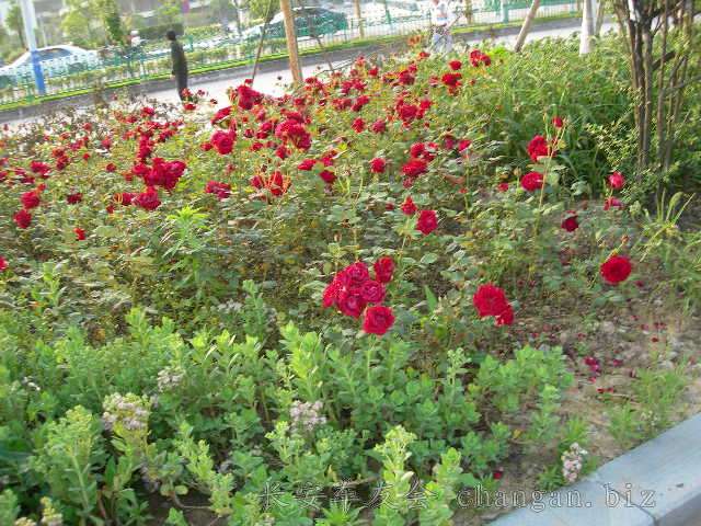 DSCN3698.JPG