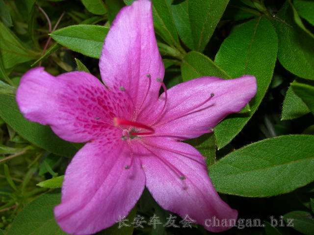  DSCN3734.JPG