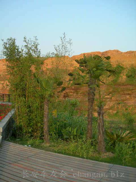 DSCN3697.JPG