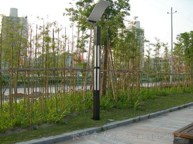 DSCN3696.JPG