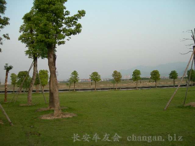  DSCN3736.JPG