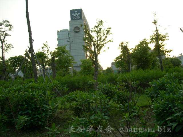  DSCN3733.JPG