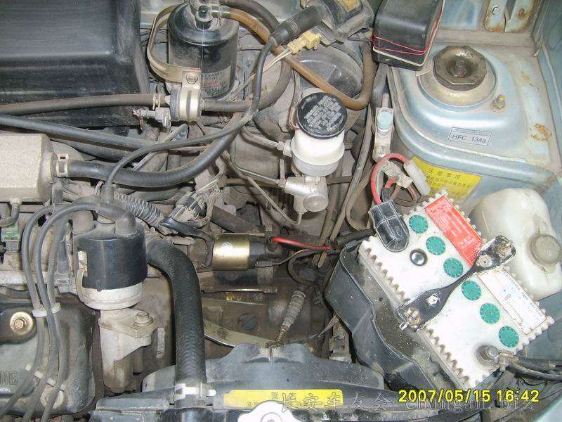 Resize of S6000395.JPG