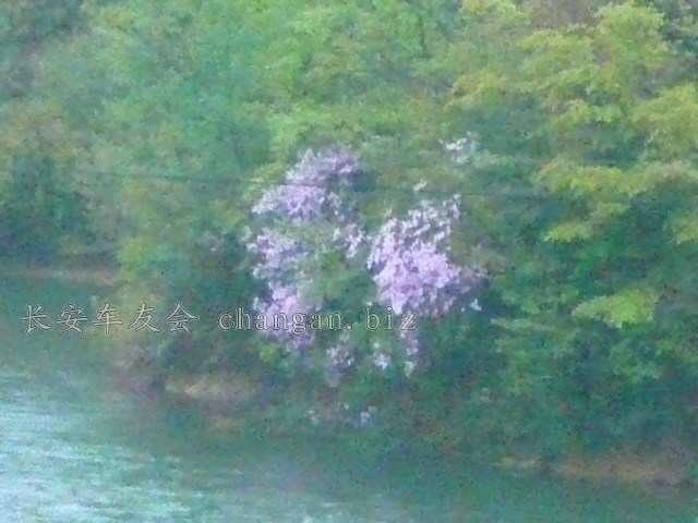 Ƭ 085.jpg