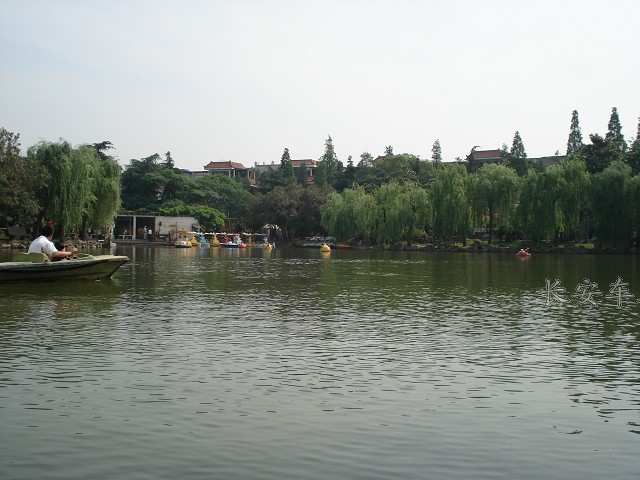 DSC01035.jpg