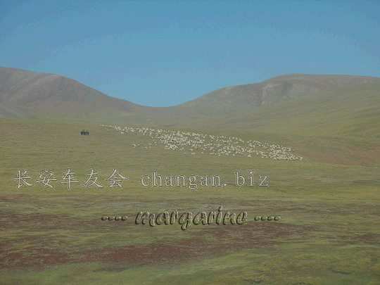 2144852_499257.jpg