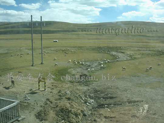 2145200_499257.jpg