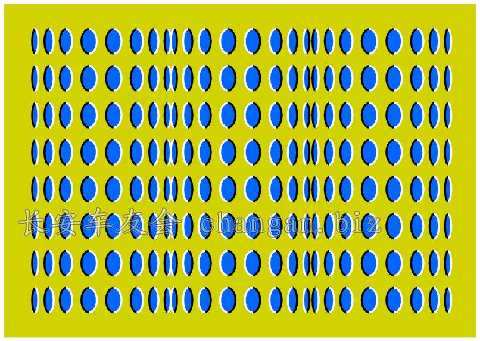 1130300900144.jpg