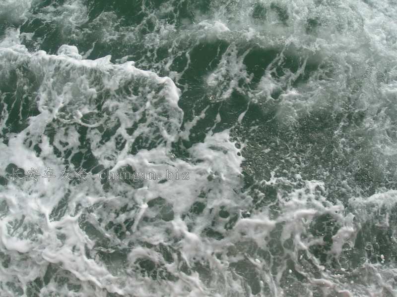 DSCN4078.JPG