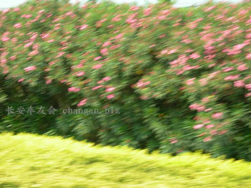 DSCN4090.JPG