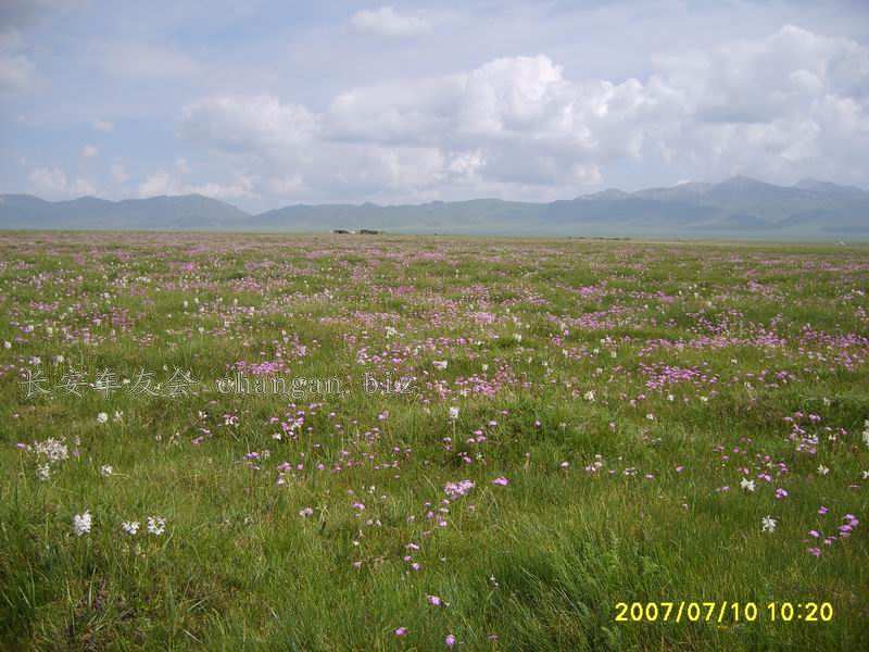 С S6000103.JPG