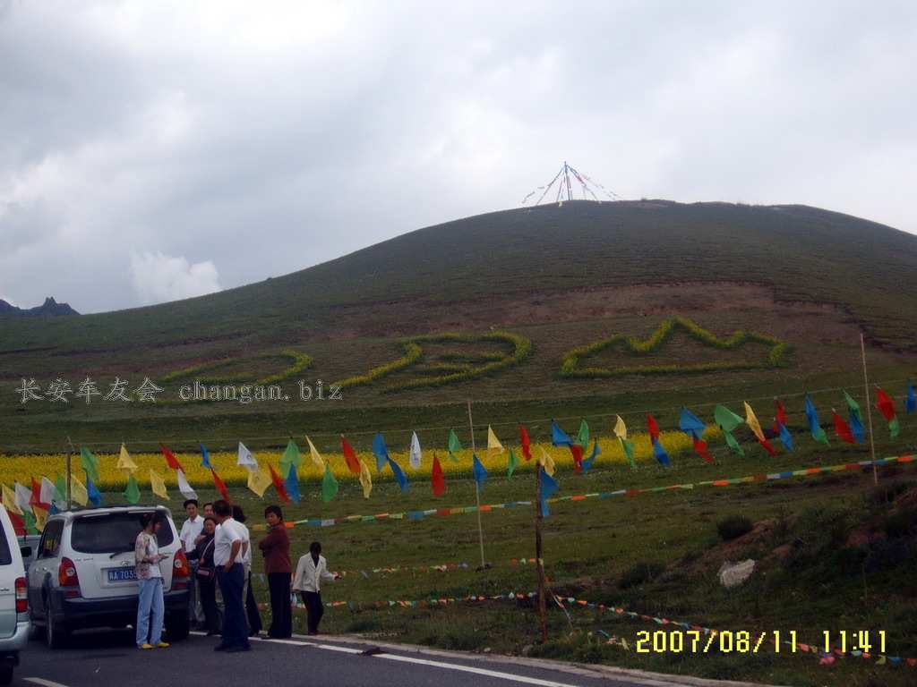 SUC53634.jpg