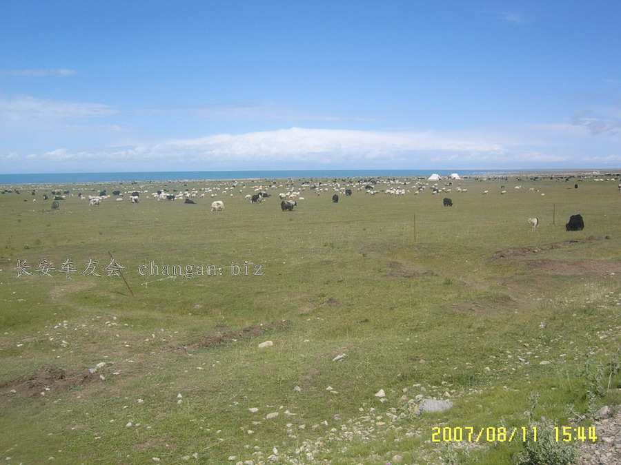 SUC53680.jpg