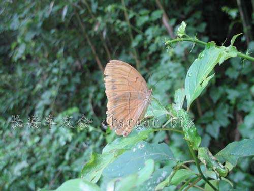 IMG_4653.jpg