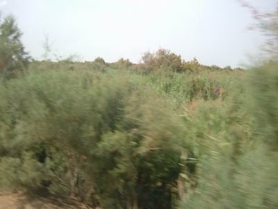 С Ƭ 019.jpg